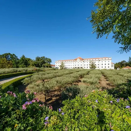 Sdivine Hotel, Congress & Spirituality מלון פאטימה