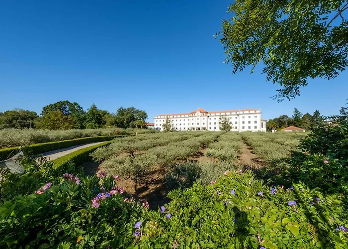 Sdivine Hotel, Congress & Spirituality Hotel Fátima